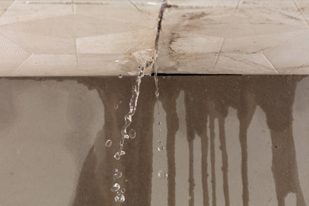Professional Water Extraction technician working in Crystal Lake, IL